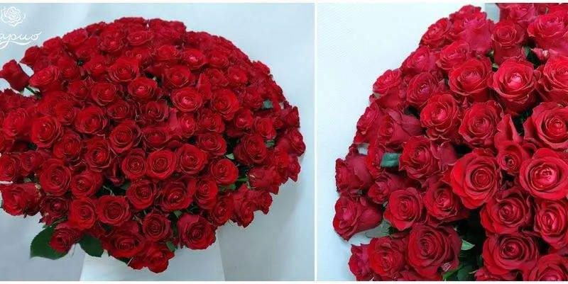 Букет из 101 розы Гран При (80 см)