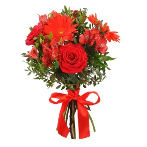 Ласковый Рассвет